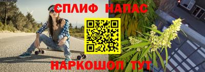 сатива Краснознаменск