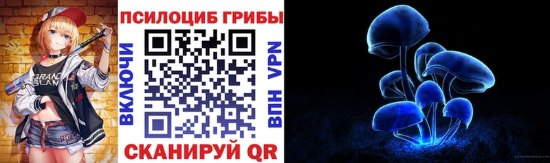 Галлюциногенные грибы Psilocybine cubensis  ссылка на мегу   Гусев 