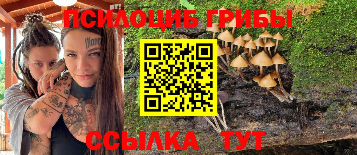 Гусев  Галлюциногенные грибы мицелий  Псилоцибиновые грибы мухоморы  Вход с VPN 